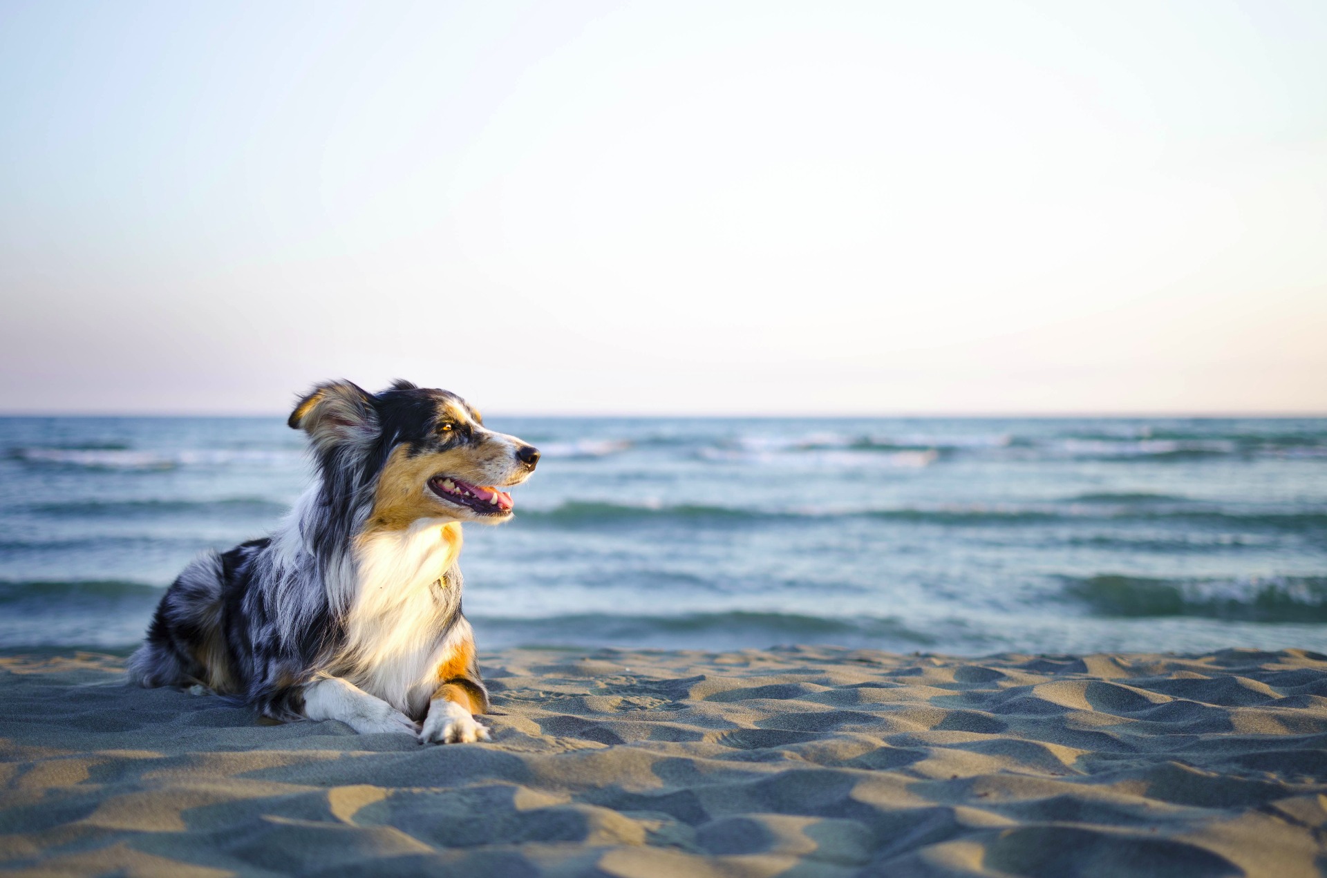 Pohodička na pláží v ČH