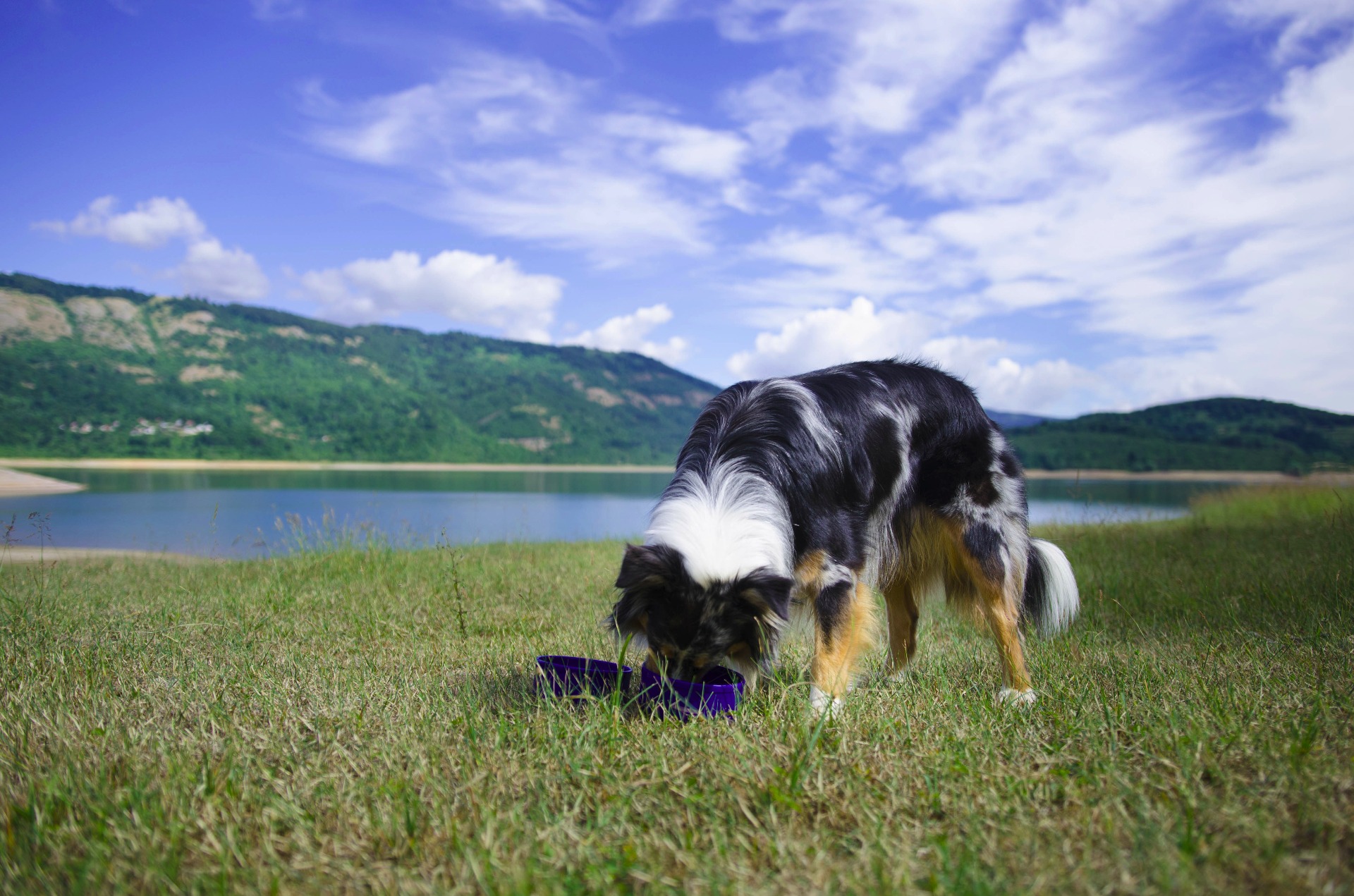 Snídaně v Makedonii